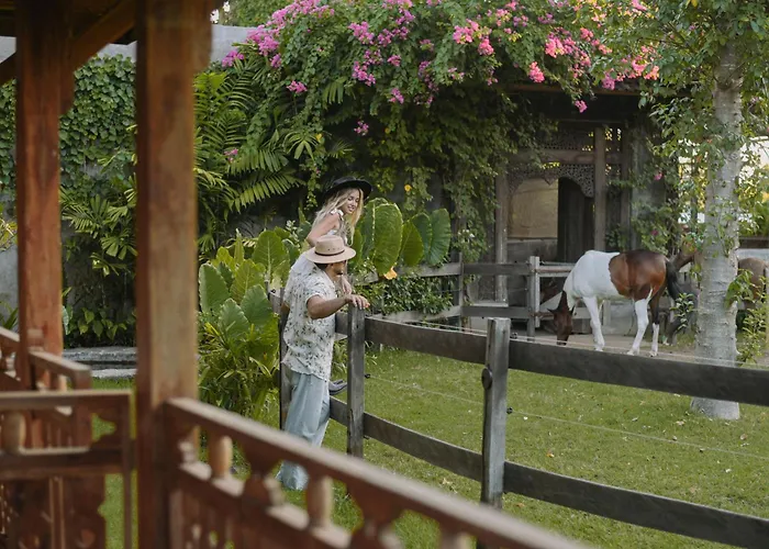 Salty Cowboy Luxury Cottages Kedungu