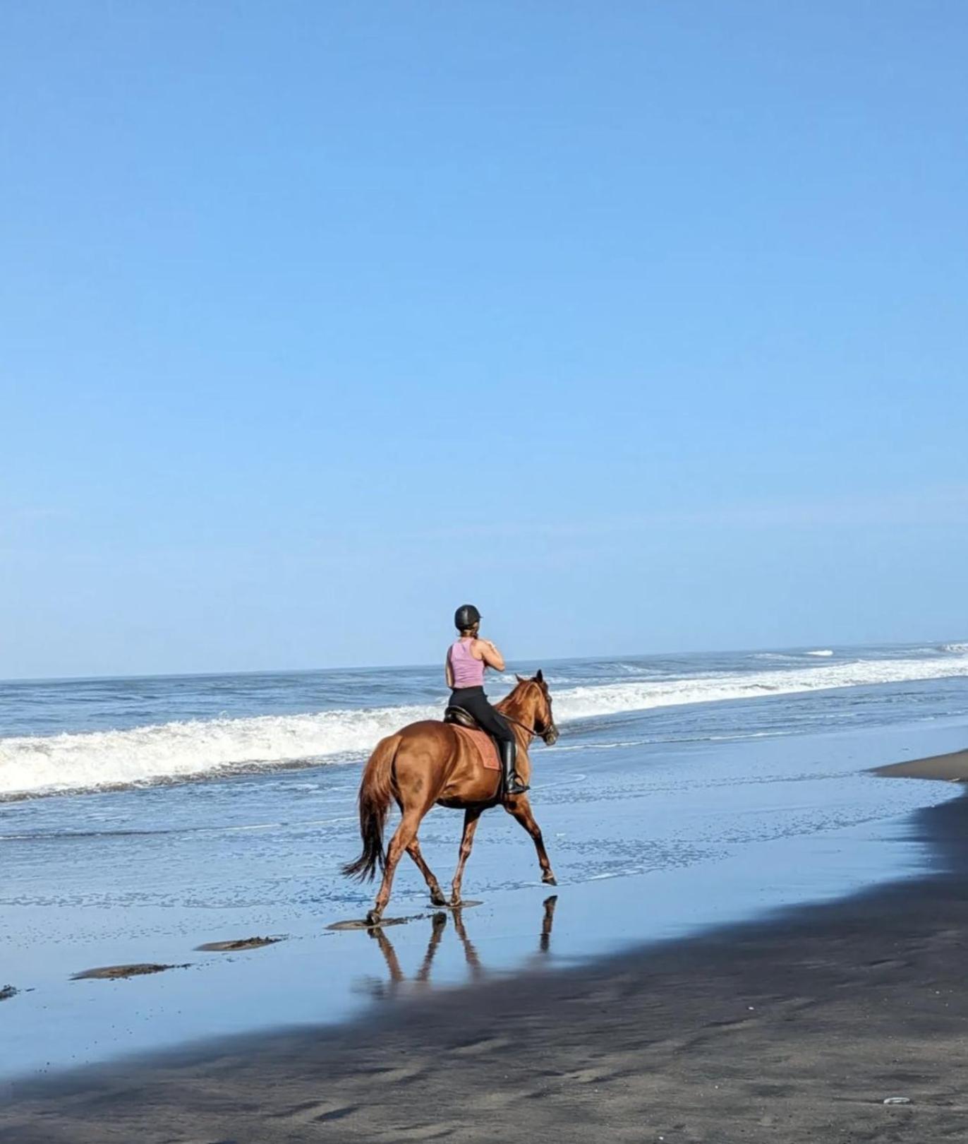 Salty Cowboy Luxury Kedungu * Tanah Lot (Bali)