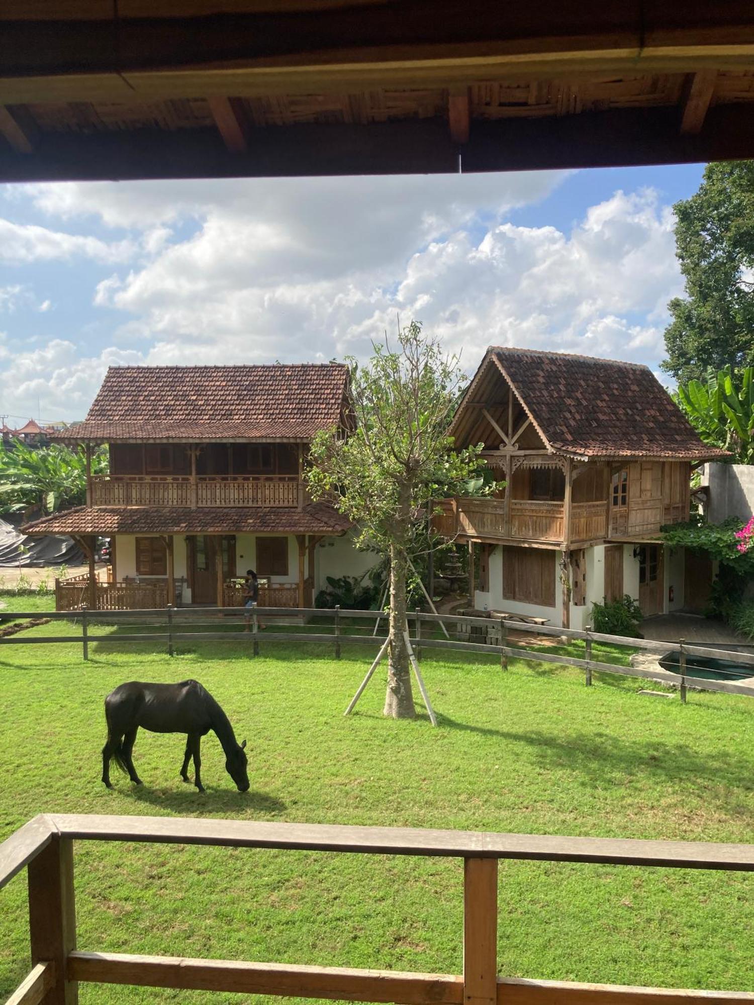 Salty Cowboy Luxury Kedungu * Tanah Lot (Bali)