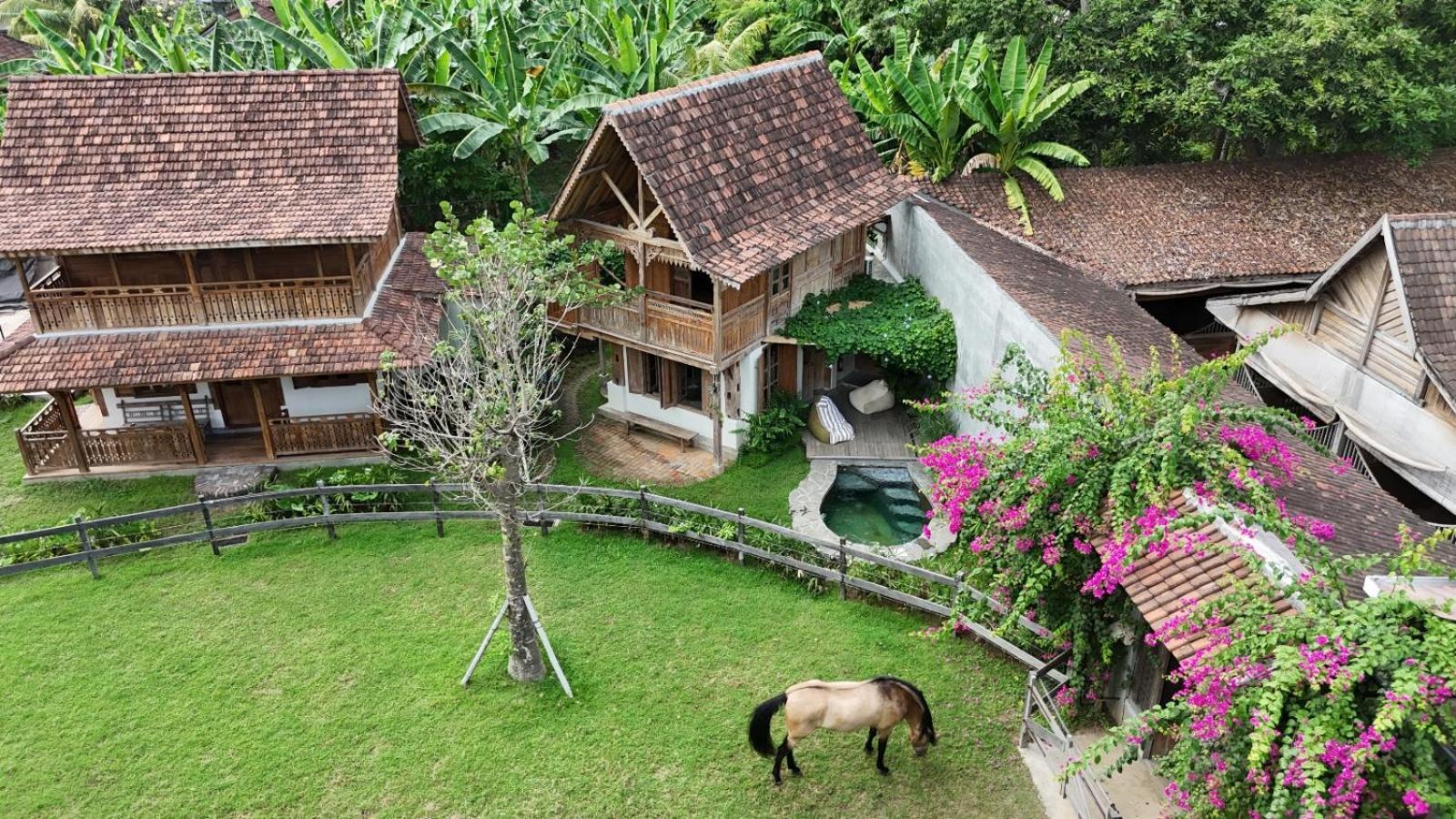 Salty Cowboy Luxury Kedungu